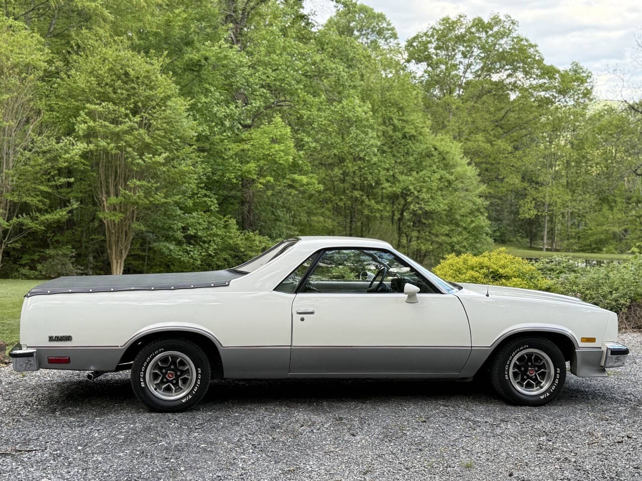 Chevrolet-El-Camino-1984-Pickup-Truck-19