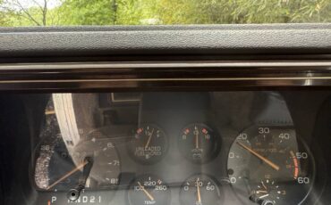 Chevrolet-El-Camino-1984-Pickup-Truck-32