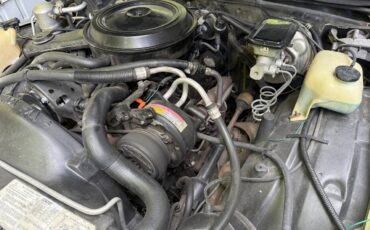 Chevrolet-El-Camino-1984-Pickup-Truck-39