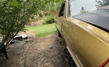 Chevrolet-El-camino-ss-1971-Gold-Beige-1