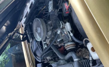 Chevrolet-El-camino-ss-1971-Gold-Beige