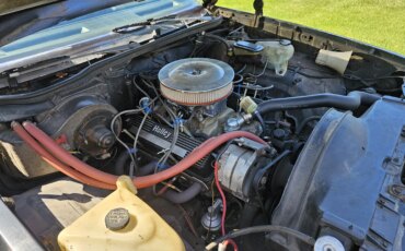 Chevrolet-El-camino-ss-1978-Black-Black-7