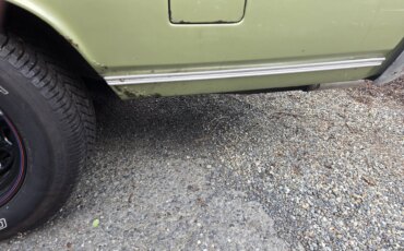 Chevrolet-El-camino-v8-1968-Green-Brown-16