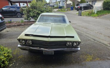 Chevrolet-El-camino-v8-1968-Green-Brown-50