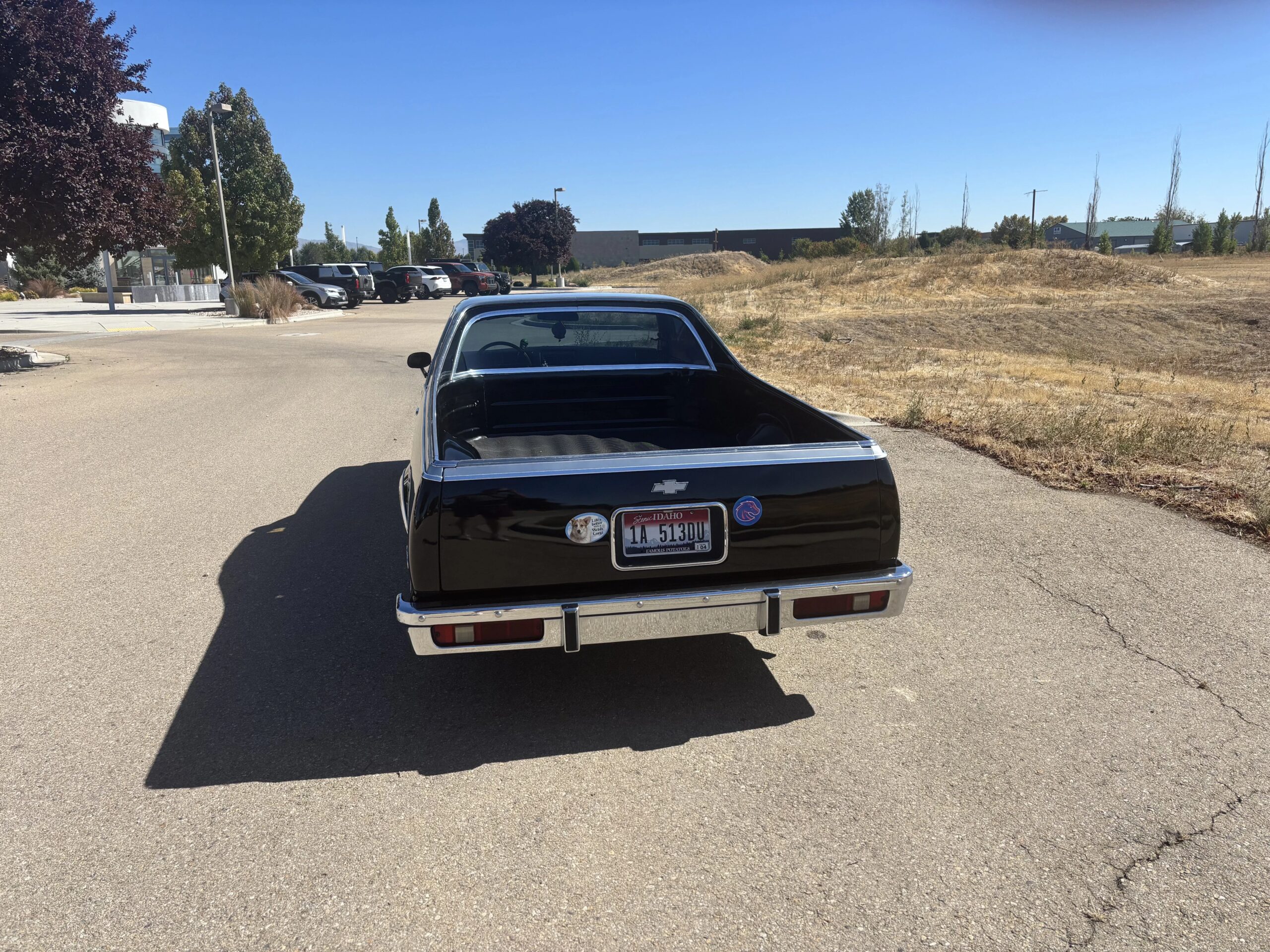 Chevrolet-El-camino-v8-1978-Black-Black-1
