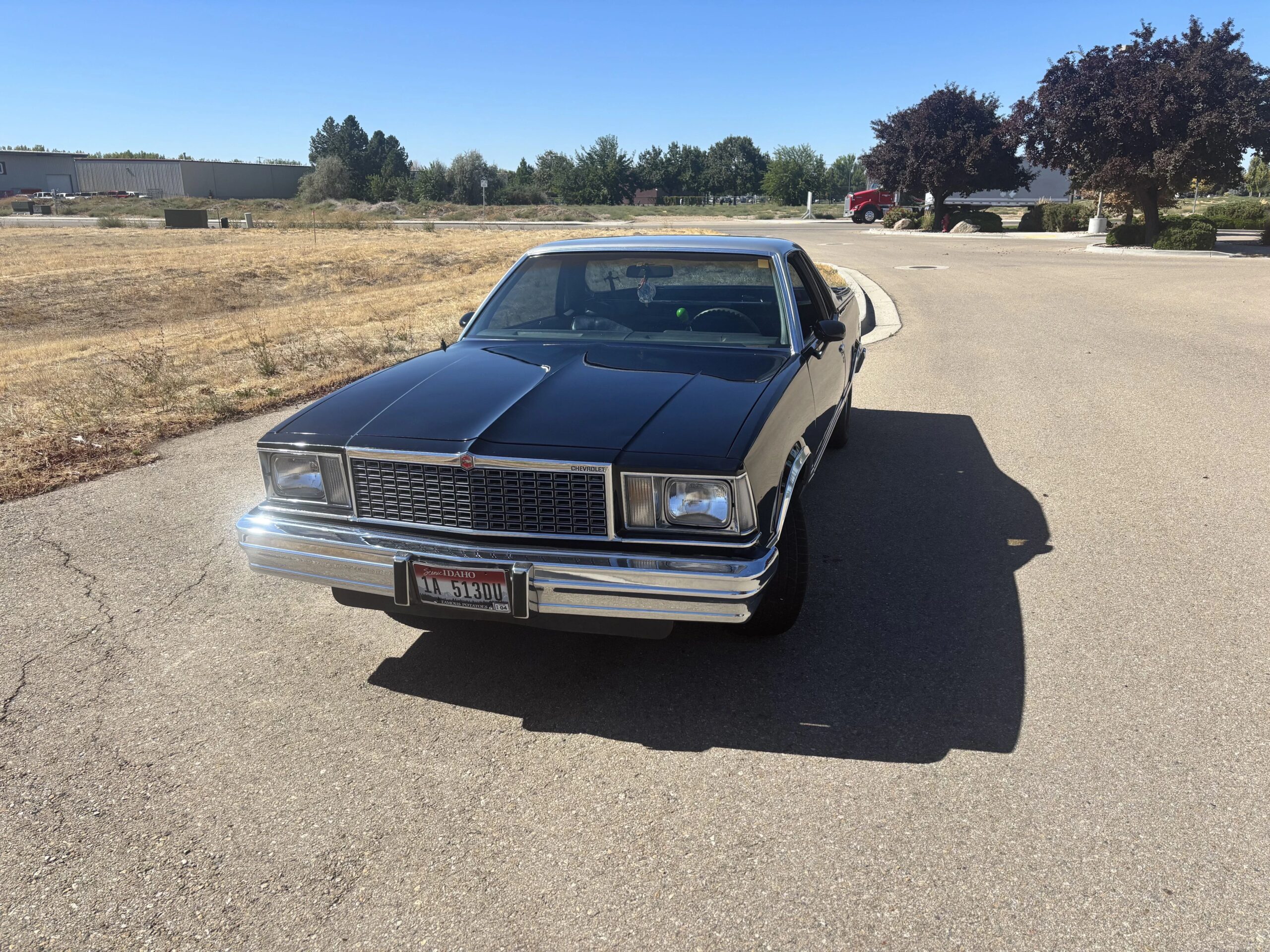 Chevrolet-El-camino-v8-1978-Black-Black-3