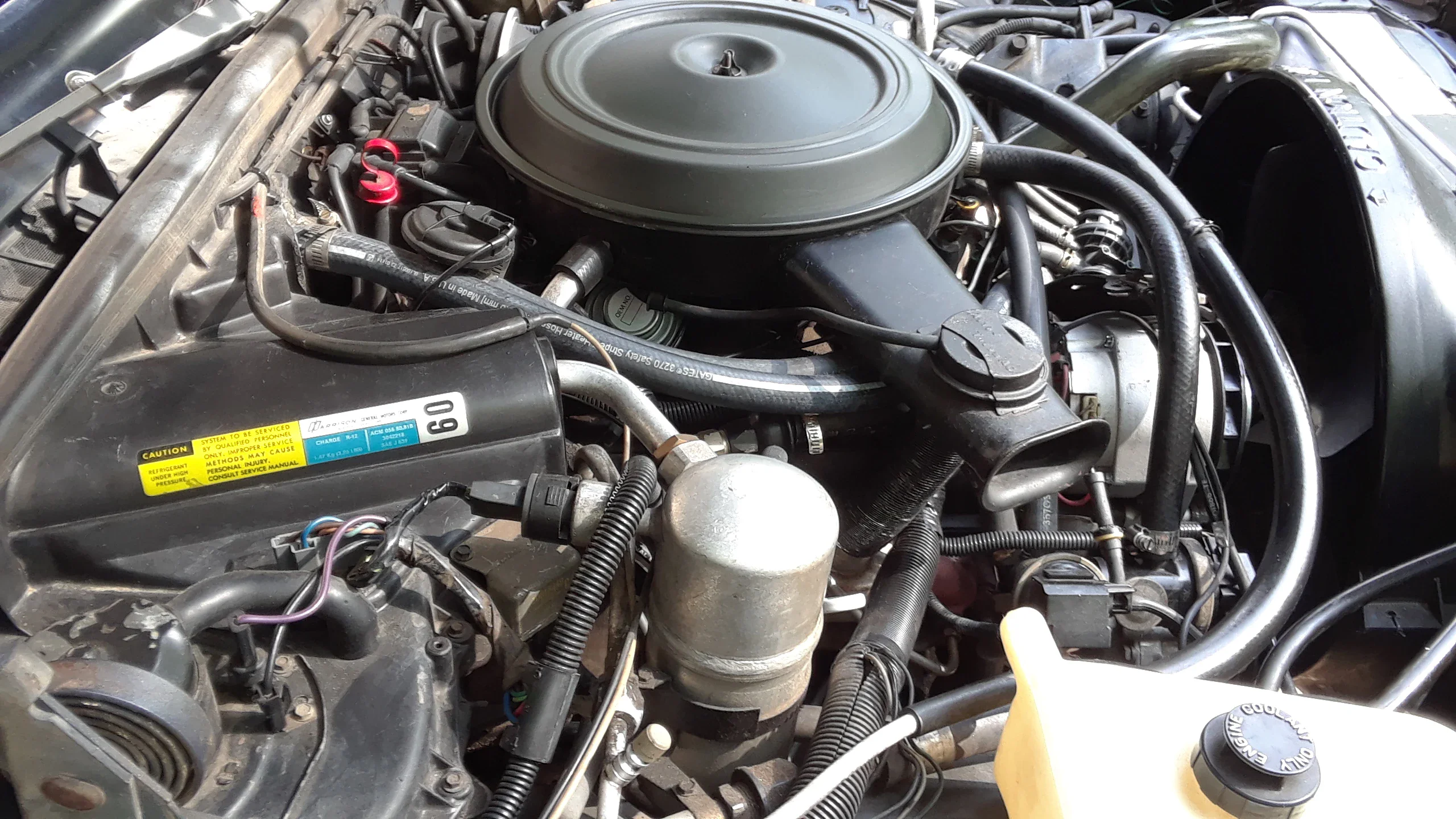 Chevrolet-El-camino-v8-1984-Blue-Blue-65