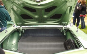 Chevrolet-Impala-1959-Verde-Lichene-Green-Green-28