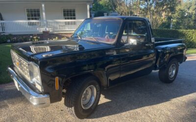 Chevrolet Impala 1976 Standard Cab Pickup