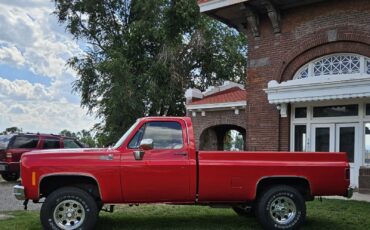 Chevrolet-K-20-1978-10