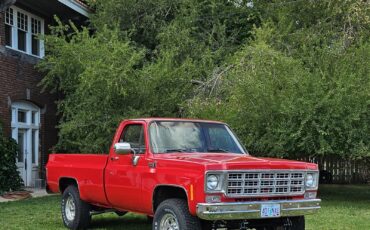 Chevrolet-K-20-1978-11