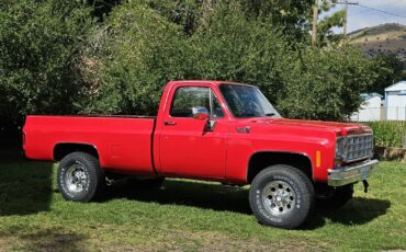 Chevrolet-K-20-1978-13