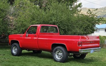 Chevrolet-K-20-1978-15