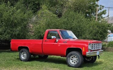 Chevrolet-K-20-1978-3