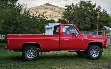 Chevrolet-K-20-1978-5