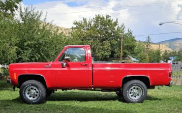 Chevrolet-K-20-1978-7