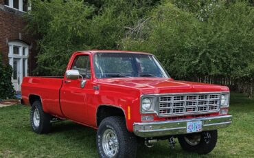 Chevrolet-K-20-1978-8