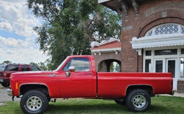 Chevrolet-K-20-1978-9