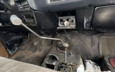 Chevrolet-K10-1976-11