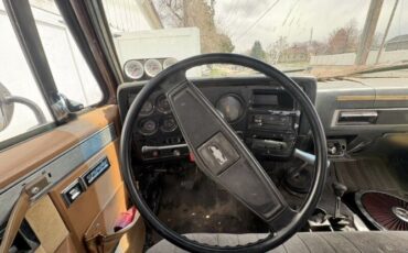 Chevrolet-K10-1976-6