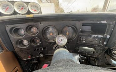 Chevrolet-K10-1976-7