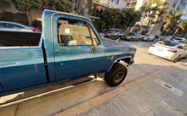 Chevrolet-K10-1983-Blue-11