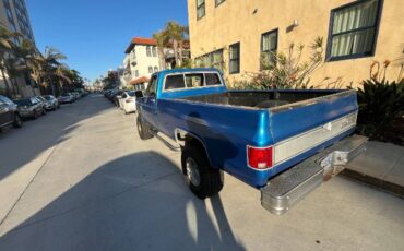 Chevrolet-K10-1983-Blue-13