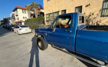 Chevrolet-K10-1983-Blue-16