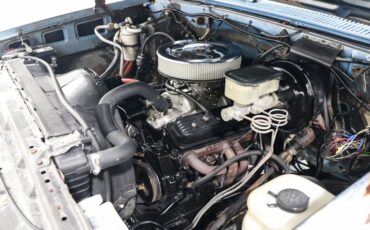 Chevrolet-K10-1986-BLUE-Blue-19