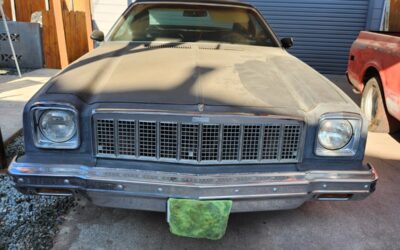 Chevrolet Malibu 1975 Sedan