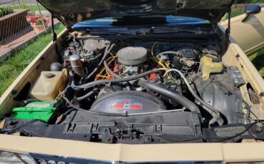 Chevrolet-Malibu-1978-11
