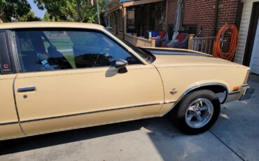 Chevrolet-Malibu-1978-12