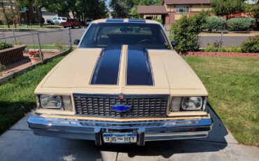 Chevrolet-Malibu-1978-3