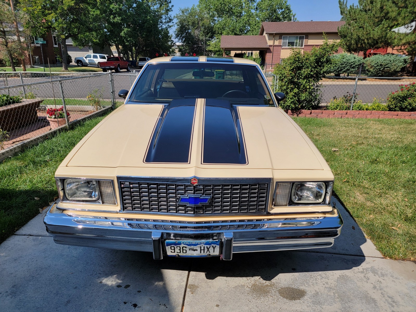 Chevrolet-Malibu-1978-3