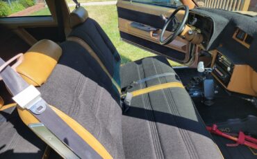 Chevrolet-Malibu-1978-6