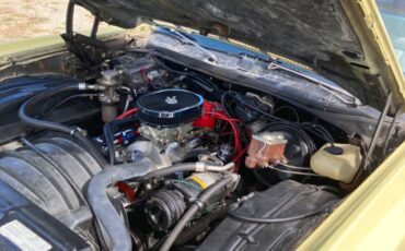 Chevrolet-Monte-Carlo-1976-Coupe-14