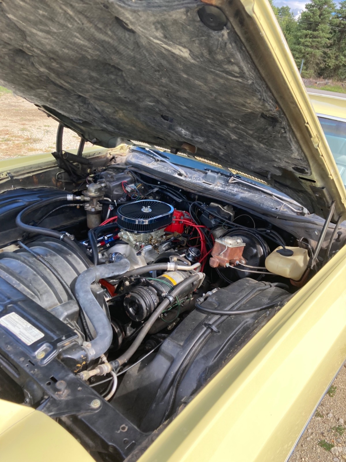 Chevrolet-Monte-Carlo-1976-Coupe-14