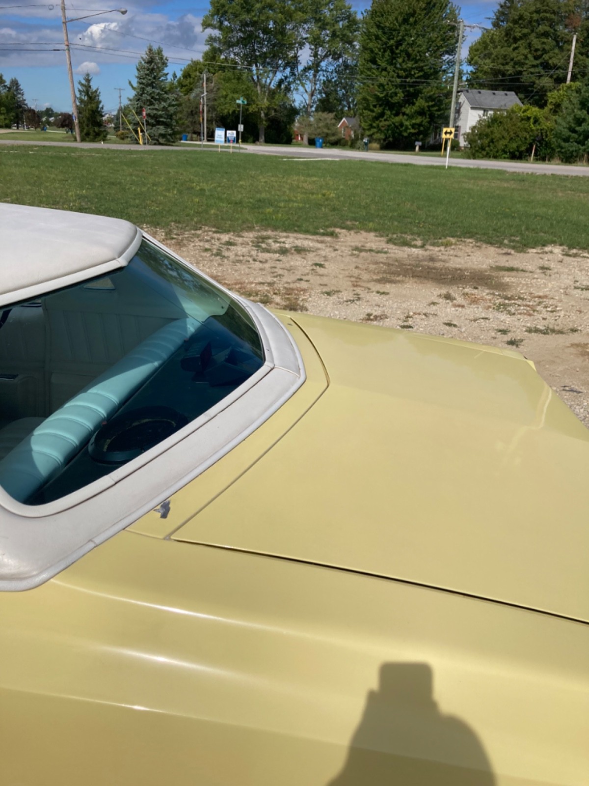 Chevrolet-Monte-Carlo-1976-Coupe-15