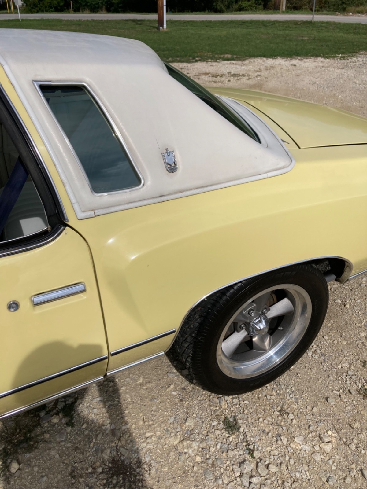 Chevrolet-Monte-Carlo-1976-Coupe-20