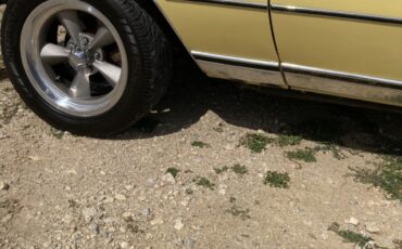 Chevrolet-Monte-Carlo-1976-Coupe-26