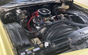 Chevrolet-Monte-Carlo-1976-Coupe-30