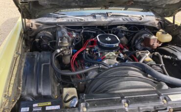 Chevrolet-Monte-Carlo-1976-Coupe-34