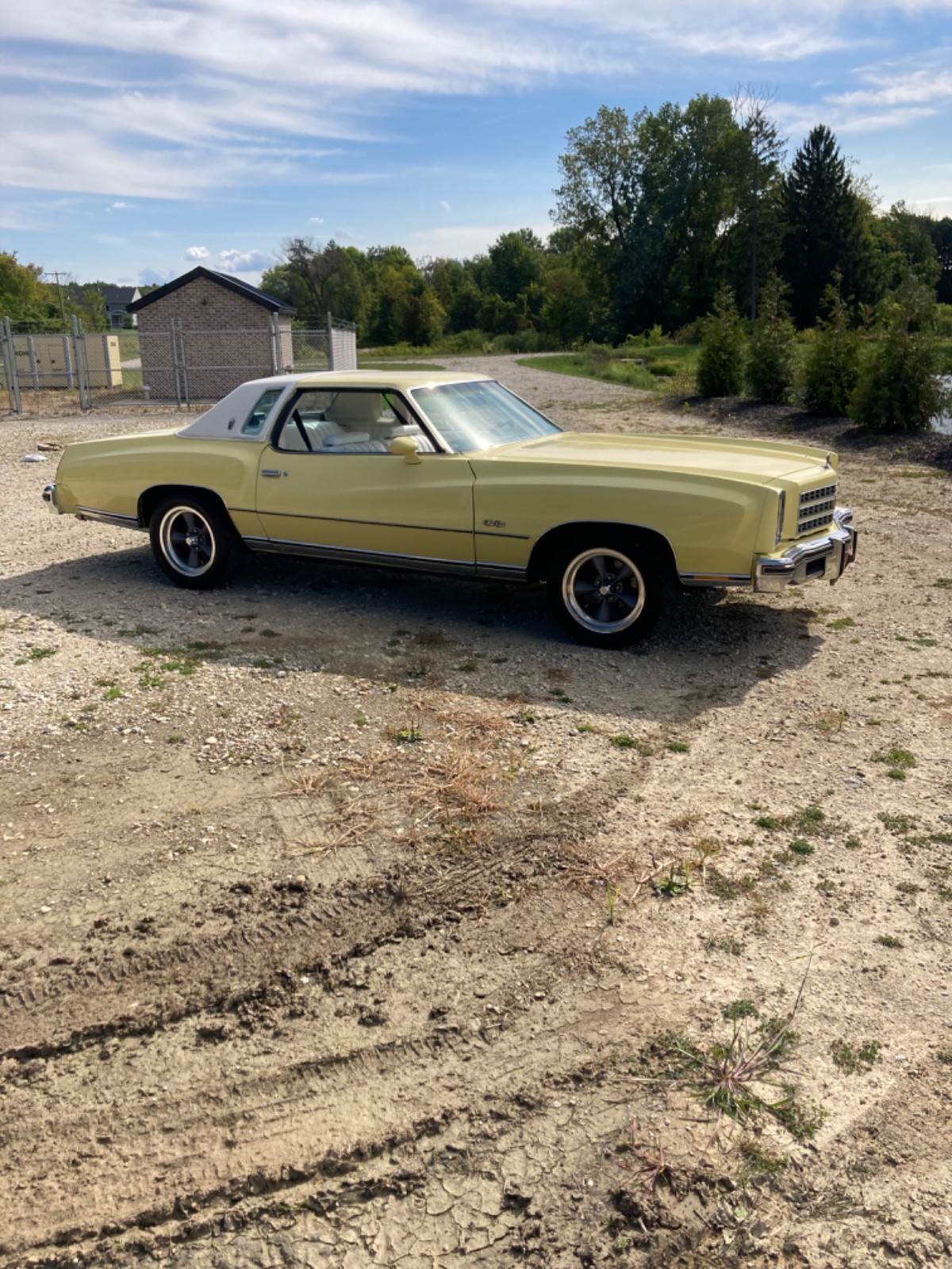 Chevrolet-Monte-Carlo-1976-Coupe-4