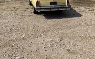 Chevrolet-Monte-Carlo-1976-Coupe-5