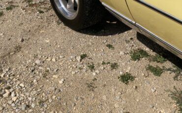 Chevrolet-Monte-Carlo-1976-Coupe-7