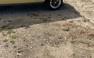 Chevrolet-Monte-Carlo-1976-Coupe-8