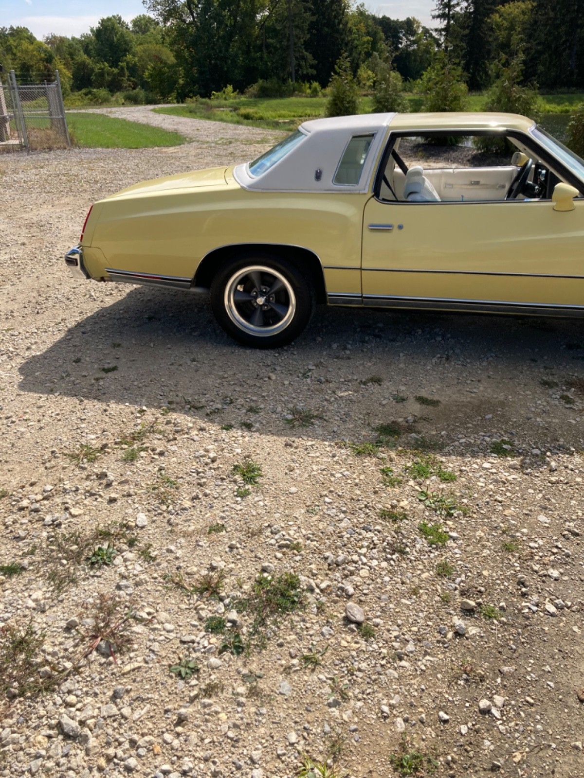 Chevrolet-Monte-Carlo-1976-Coupe-9