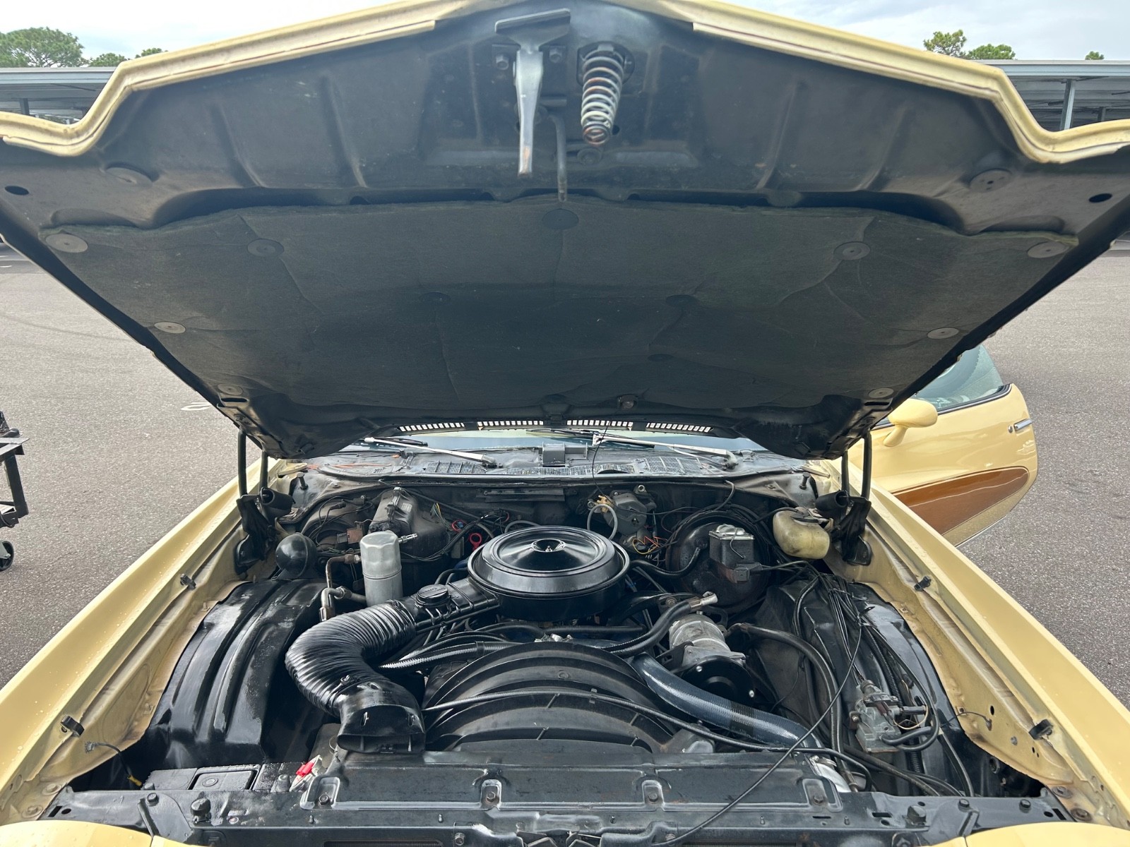Chevrolet-Monte-Carlo-1977-Coupe-10