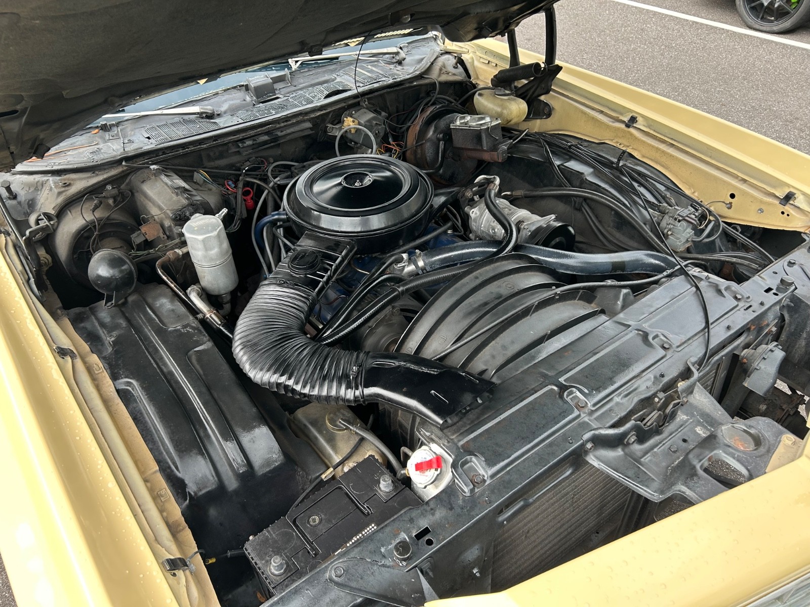 Chevrolet-Monte-Carlo-1977-Coupe-12