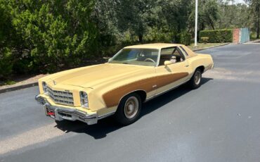 Chevrolet-Monte-Carlo-1977-Coupe-2